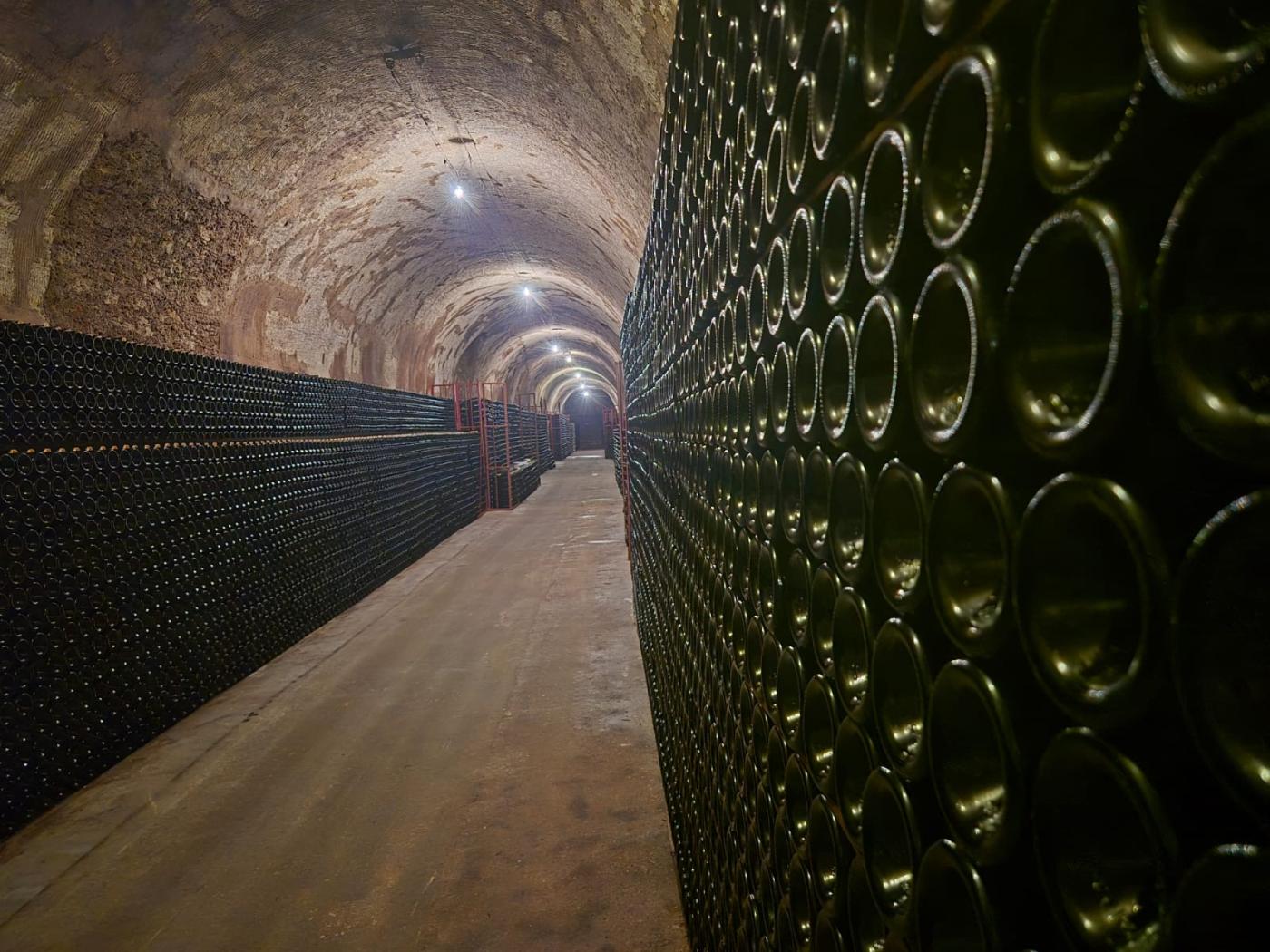 Voyage en champagne